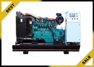Quality 50 Hz Natural Gas Powered Generator , 200 Kw Gas Electric Generator Ac Three Phase wholesale