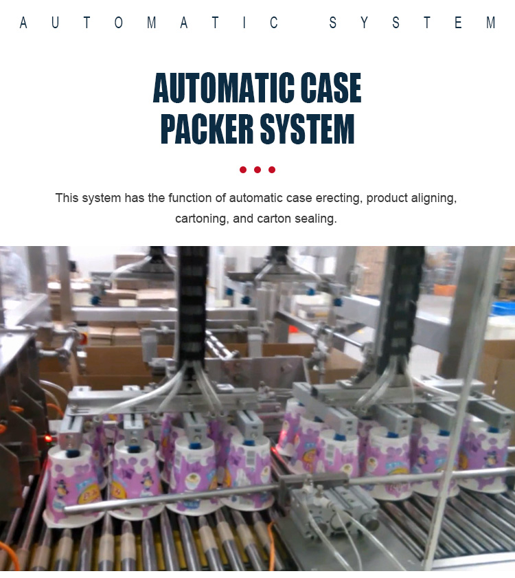 Customized Horizontal Flow Automatic Box Packing Machine For Carton Sealing
