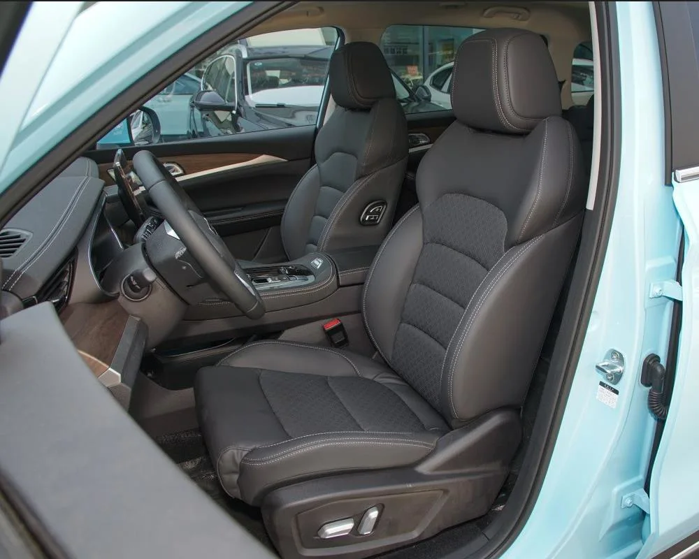 Hot Sell China Manufacture SUV Electric Adult Raysince China SUV Electric Cars