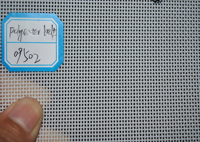 Drying Mining Linear Screen Cloth Polyester Mesh Conveyor Belt