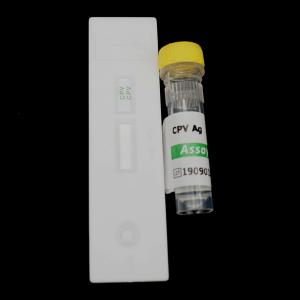 Quality Cassette Canine Parvovirus Veterinary Rapid Test Kits 10 Minutes Test Time wholesale