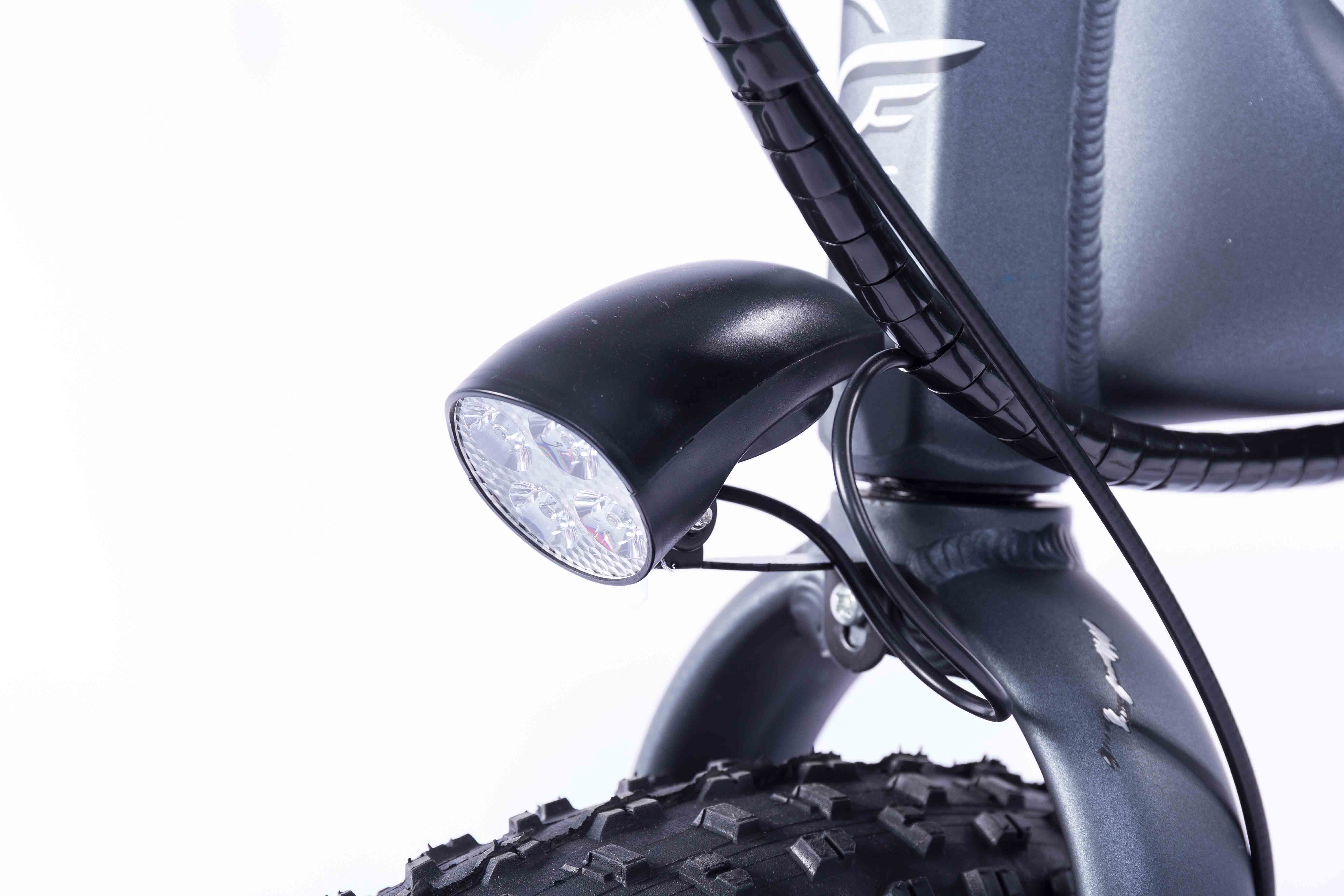 20 Inch 350W Electric Folding Fat Bike CE Certificate Waterproof In Rain