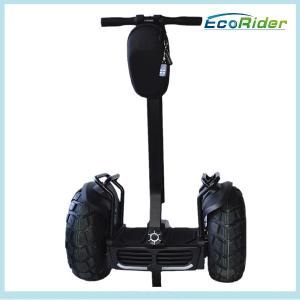 Quality Chariot Electric Scooter 2000W Self Balancing Vehicle Free Standing wholesale