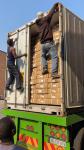 Factory Wholesale Cost Export grocery items food supermarket shelves
