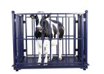 Electronic KELI 5000KG Cattle Weighing Systems Carbon Steel