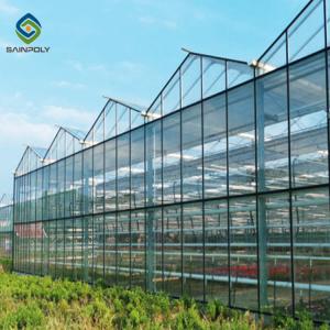 Quality Wind Galvanized Steel 12m Multi Span Glass Greenhouse wholesale