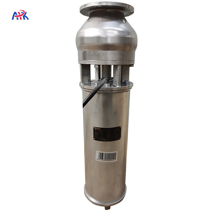 100m3/H QSP Cast Iron Anti Corrosion Fountain Pump Factory Provides