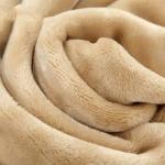 Customized Color 100D Yarn Count Coral Fleece Fabric for Pajamas 300gsm Double