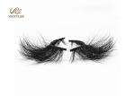 Fan Shaped Whole Strip Cotton Stalk 5D Volume Lashes