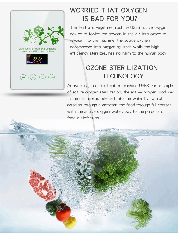 HOMEFISH Commercial Air Purifier Kitchen Use Active Oxygen Fruit And Vegetable Sterilizing Machine 400mg/H