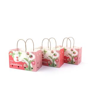 Quality Waterproof Ripen Fruit Brown Paper Bag For Grocery Refrigeration wholesale