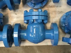 Quality Food Industry Swing Type NRV Check Valve wholesale