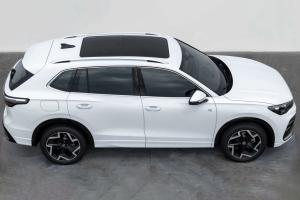 Quality Volk Swagen Tiguan L 2024 Outstanding 330tsi Two-Wheel Drive R-Line Dragon Edition Gasoline SUV. VW Tiguan Cheap Cars for Sale wholesale