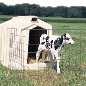 Quality Calves Cage Livestock Farm Equipment Plastic Calf Shelter Anti UV wholesale