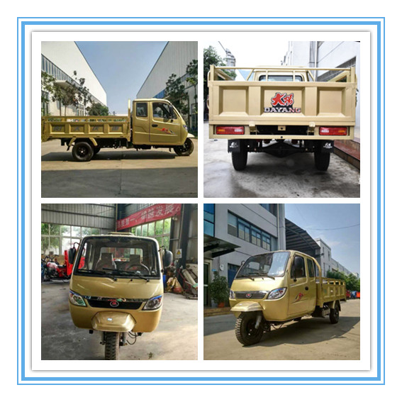 800CC Heavy Type Tuk Tuk Cargo Carrier Tricycle with Closed Cabin and 10L Capacity