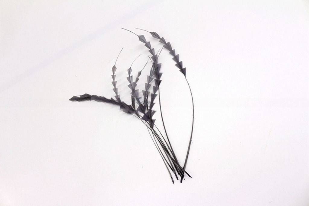 Shipping DHL UPS FEDEX EMS TNT Event Party Supplies Stripped Rooster Coque Feathers