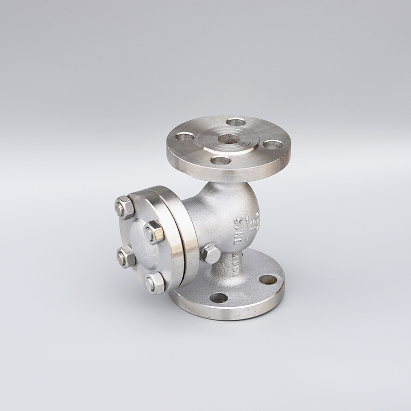 304/316 Stainless Steel Swing Flange Check Valve Horizontal One-Way Valve