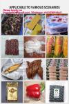 Vacuum Chamber Stainless Steel Automatic Vacuum Packer Sealing Machine Vacuum