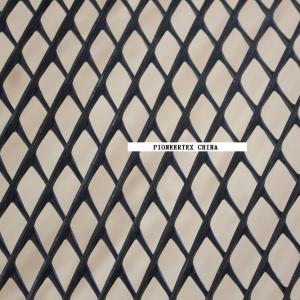 Quality 2D Geonet For Slope Protection Drainage Layer Retaining Wall wholesale
