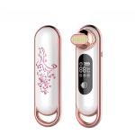 20 Mins Deep Cleaning EMS RF Hot Lifting Beauty Instrument