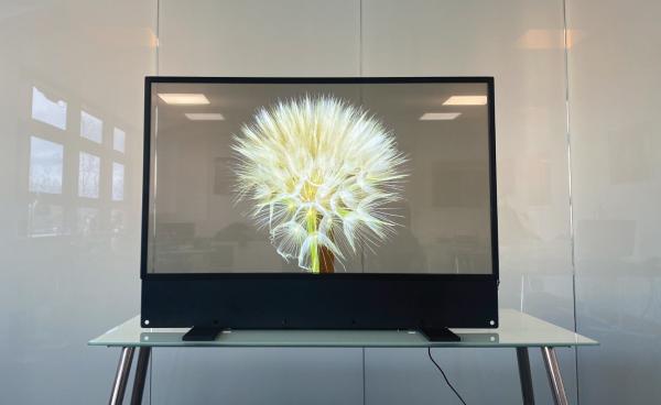 Cheap High definition OLED Transparent Display See Through OLED for sale