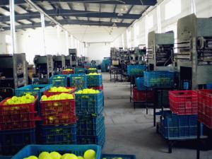 Quality Rubber Ball Dog Toys manufcturer wholesale