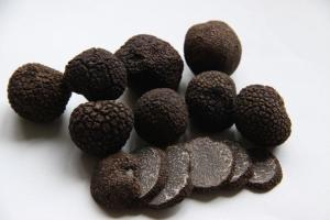 Quality Frezen truffle wholesale