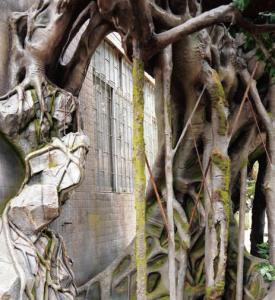 Quality Customized Fiberglass GRC Landscaping Fake Tree For Garden Airport wholesale