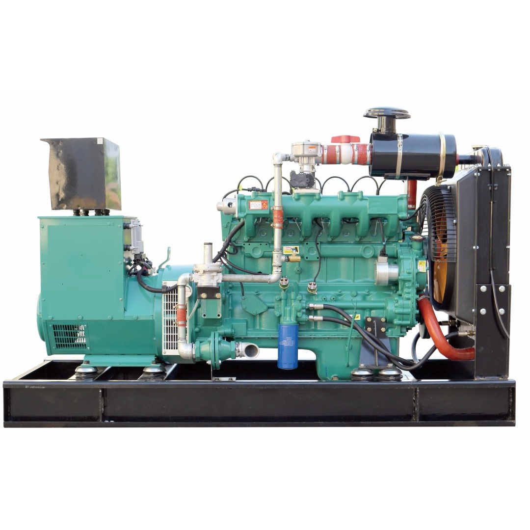 36A Rated Current 20KW 25KVA Natural Gas Generator Set with CE ISO CCS Certification