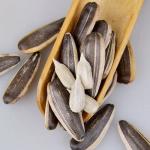 Human Consumption Sunflower Seeds Black Sunflower Kernel 361/601/3638/0409
