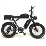 Outdoor Adventure 20*4.0 Kenda Fat Tire Double Disc Brake Mountain Bike For