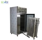 China Supplier Industrial Low Temperature 178 L Fast Cooling Blast Freezer