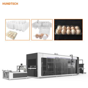 Quality Trifold Shape Egg Box Making Machine Plastic Thermoforming Equipment wholesale