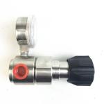 Back pressure regulator back pressure valve