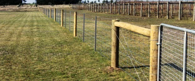 Galvanized Steel Wire Mesh Fence Animal field fence cost Zoo Wild Fencing Roll