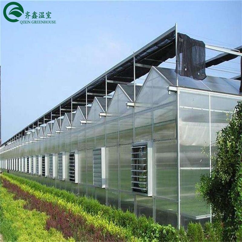 Large Glass Covered Garden Greenhouses for Versatile Planting Options