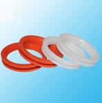 Customized Double Lips FKM Silicone Rubber Lip Seal