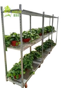 Quality Versatile Stackable Cargo Shipping Container With Multiple Shelves wholesale