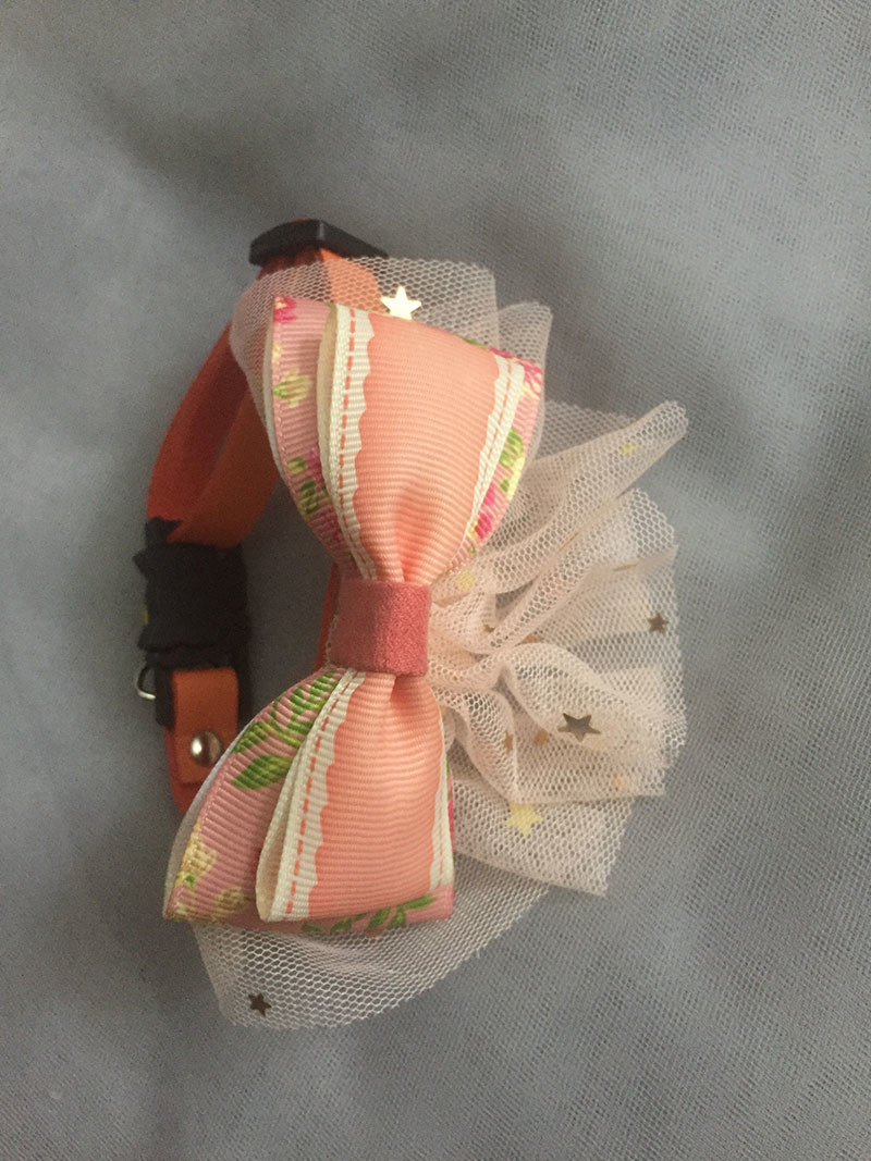 Luxury Lace Bow Tie Cat Collar , Unique Pet Collars Decoration Size 10cm