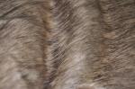 Brown Long Hair Fur Fabric 150cm Fox Faux，Quality guaranteed, bring you the