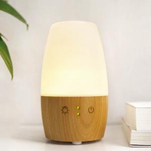 Quality Electric Ultrasonic Essential Oil Diffuser For Home Office Hospital wholesale