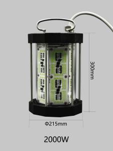 Quality Powerful 2000W Best LED Fishing Light For Deep Sea , Waterproof Fishing Light For Boats wholesale