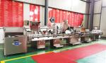 Automatic Electromechanical Candy Pill Tablet Packing Machine