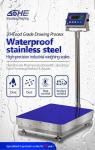 LED Display 300kg SOHE A1S Waterproof Scale for Food Factories 500*600mm