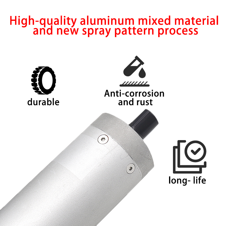 23NM 24V Low Voltage Speed Gate DC Servo Motor With Gearbox