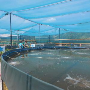 Quality 0.75mm Geomembranes Manufactured with Industrial Design Style in Philippines wholesale