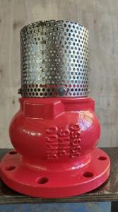 Quality screen SS304 DN100 PN16 GGG50 foot valve factory in Hebei Province wholesale