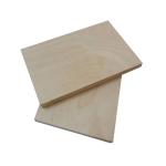 Full Hardwood Core MR 12mm Film Faced Birch Plywood
