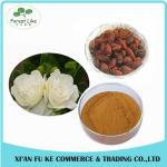 Reliable Manufacturer Supply Hot Products for Gardenia Jasminoides Ellis