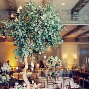 Quality Artificial Plants Green Eucalyptus Tree For Mall Hotel Decoration wholesale